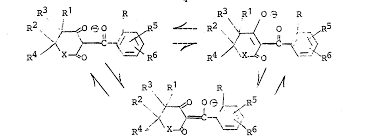 Anions - Loamy Sand 1