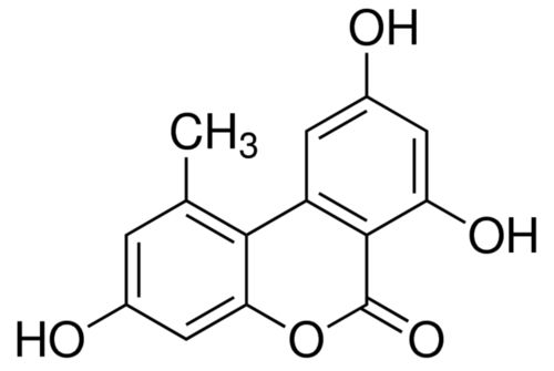 Alternariol C14H10O5