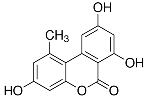 Alternariol