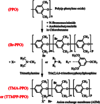 Anions on Filter Paper