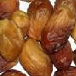 Zahedi Date