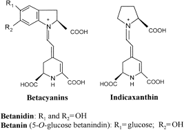 Antioxidant Kit 2, Phenolics C6H8O6