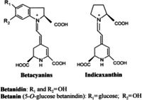 Antioxidant Kit 2, Phenolics