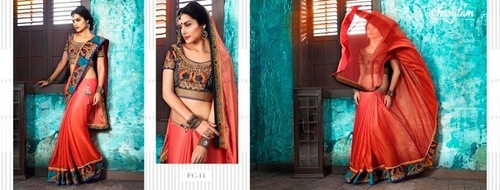 Nylon Beautiful Work Saree