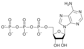 California Oxygenate Standard Ch2O