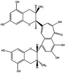 Camellia sinensis extract