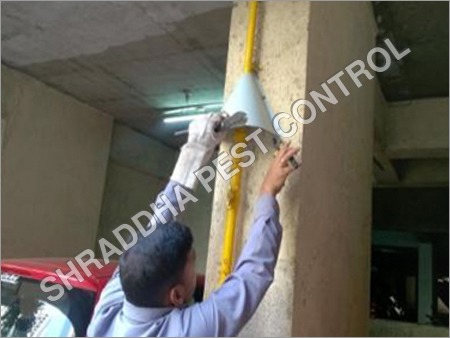 Rat Control Services