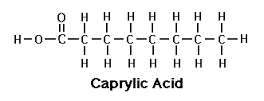 Caprylic acid