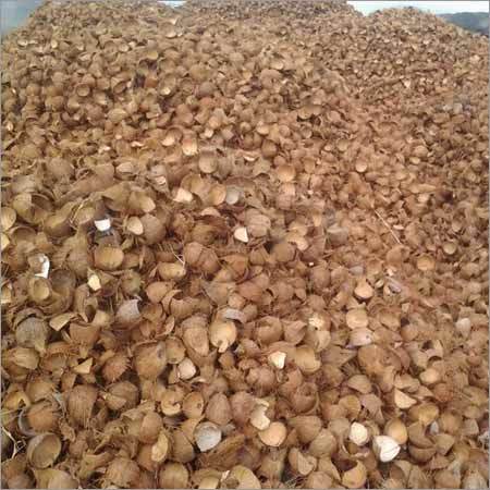 Raw Coconut Shell