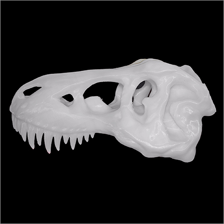 Skull Pro Dlp 3D Products