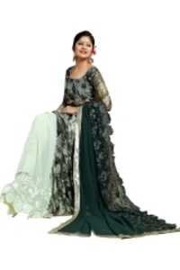 Embroidered Groovy Multi Color Georgette Half And Half Saree
