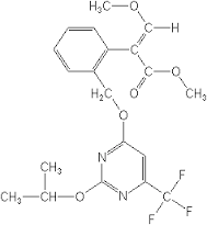 Carbamate Pesticides - WS