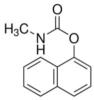 Carbaryl solution