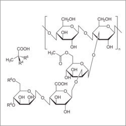 Xanthan Gum