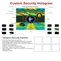 Tamper Hologram Labels - Color: Holographic