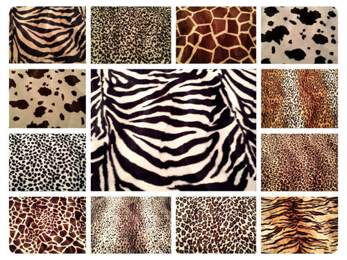 Zebra Curtain Materials