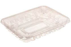 Plastic Punnet