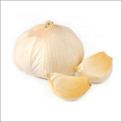 Fresh Garlic