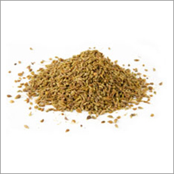 Fennel Seeds