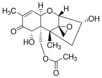 B-Trichothecene mix, (DON, NIV, 3-AcDON, 15-AcDON)