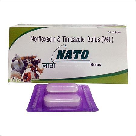 Norfloxacin And Tinidazole Bolus Certifications Gmp Price 21 Inr Box Id C