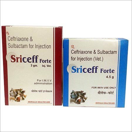 Ceftriaxone and Sulbactam for Veterinary Injection