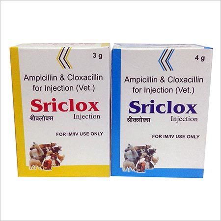 Ampicillin and Cloxacillin Injection for Veterinary