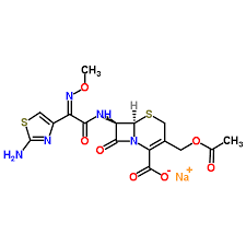 Cefotaxime for peak identification