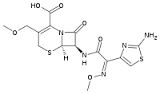 Cefpodoxime