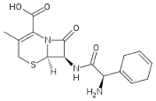 Cefradine