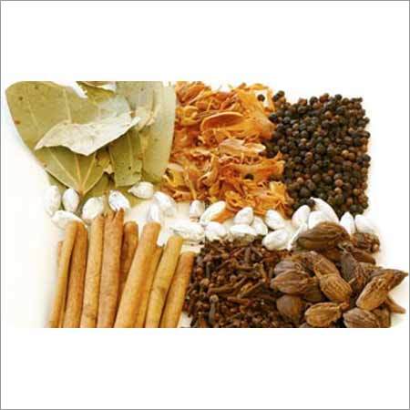 Seasonal Herbs