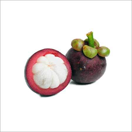 Garcinia Indica