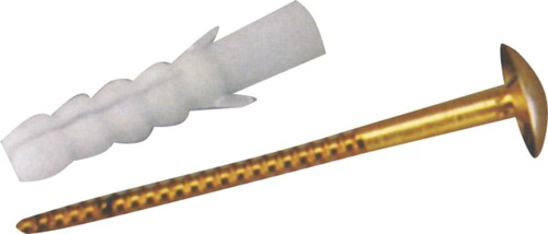 Brass Screw (Pair) With Show Flange For Ewc