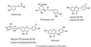 Chamomile oil