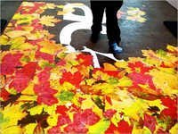 Interactive Floors