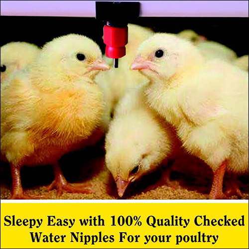 Poultry Chicken Nipples
