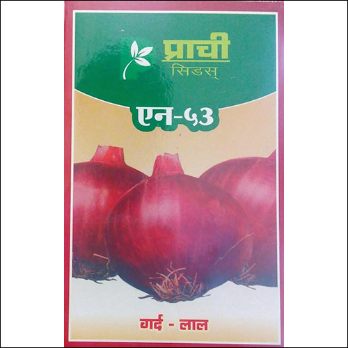 Nashik Red Onion Seeds
