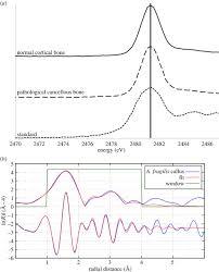 Barium Xrf Standard - 2.0 Wt%