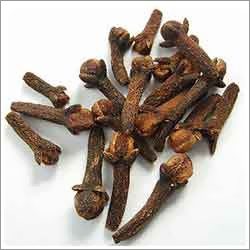 Clove Oleoresin