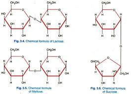 Base/Neutrals Compounds 2A - WP