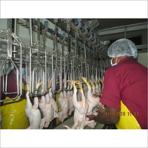 Industrial Evisceration Belt Conveyor