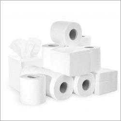 Toilet Paper Rolls