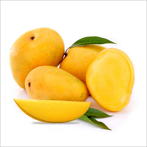 Fresh Ripe Mangoes - Organic Sweet Variety , Handpicked Freshness with Unique Aroma and Mouthwatering Taste