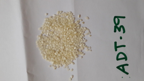 Parboiled Non Basmati Rice