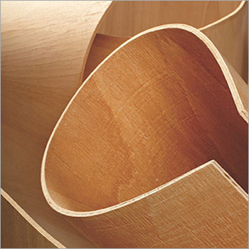 Shuttering Plywood