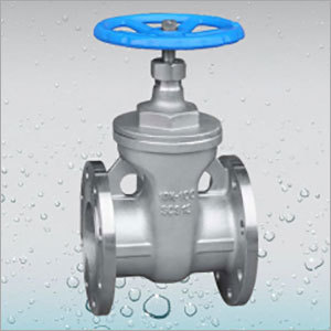 Non-rising Stem Gate Valve