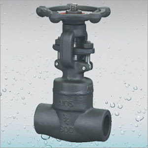 Forged Socket Welding Gate Valve