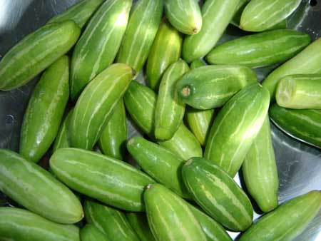 Fresh Tinduri