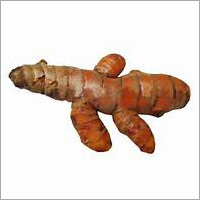 Organic Turmeric Root Organic Turmeric Root