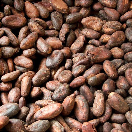 Organic Raw Cocoa Beans Organic Raw Cocoa Beans